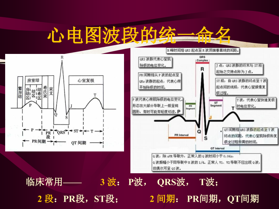 心电图-心电向量与心肌缺血_第1页