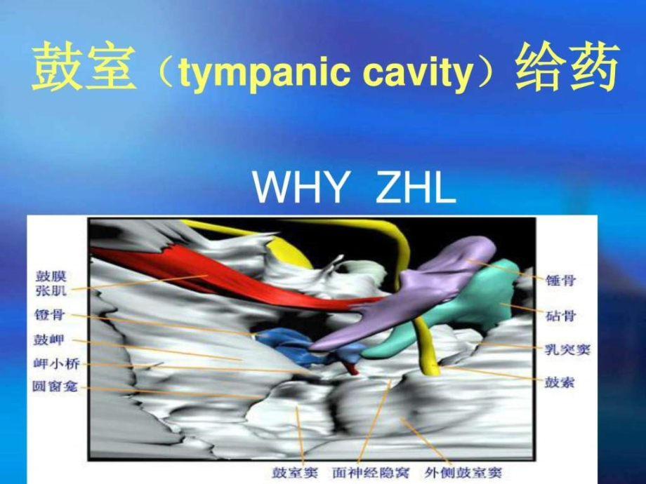 鼓室内用药-演示文稿教学课件_第1页