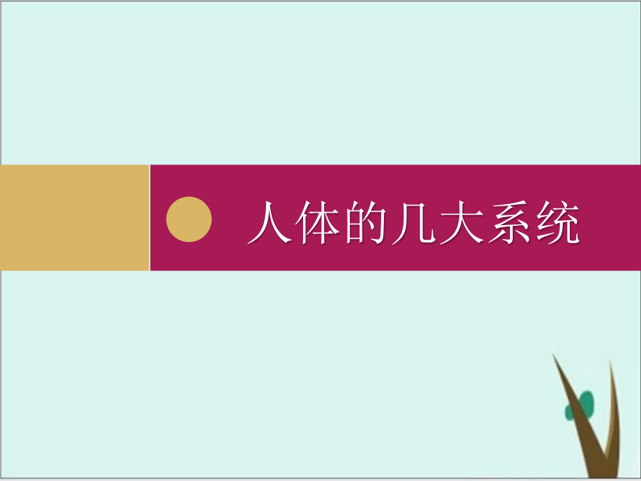 人教版初中生物总复习：人体系统-课件版_第1页