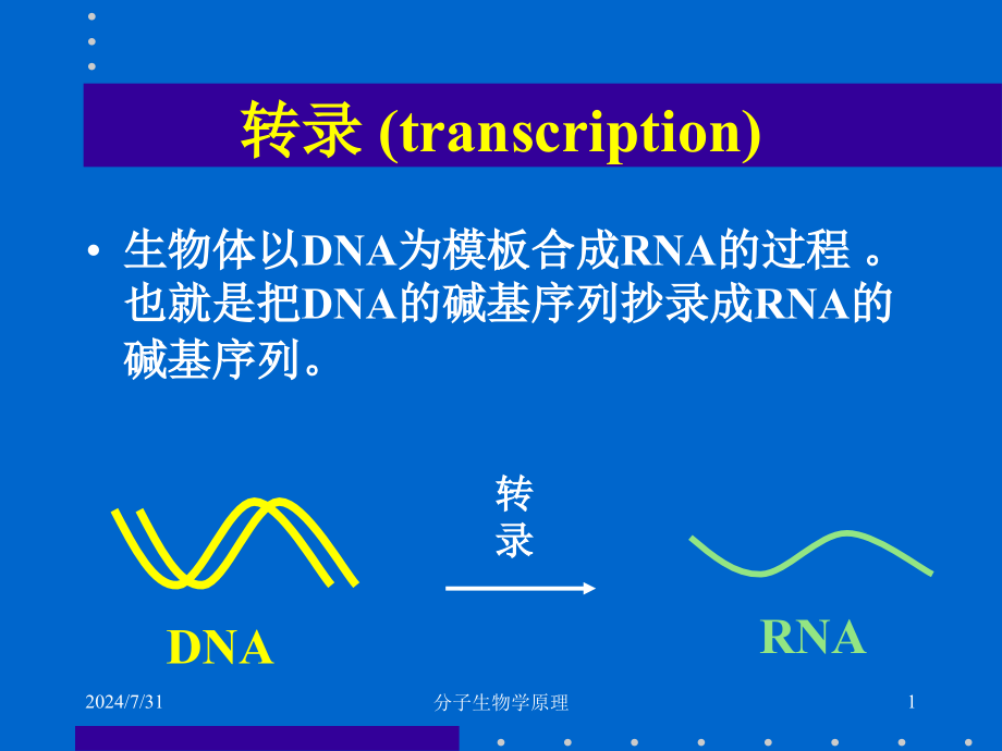 分子生物学原理RNA生物合成--课件_第1页