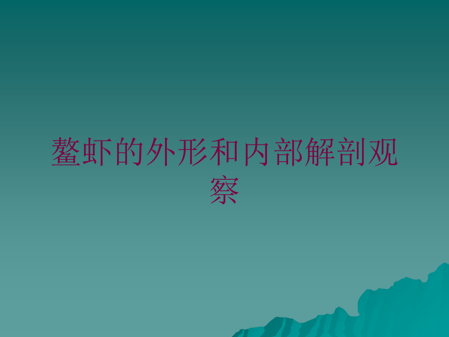 鳌虾的外形和内部解剖观察培训课件_第1页