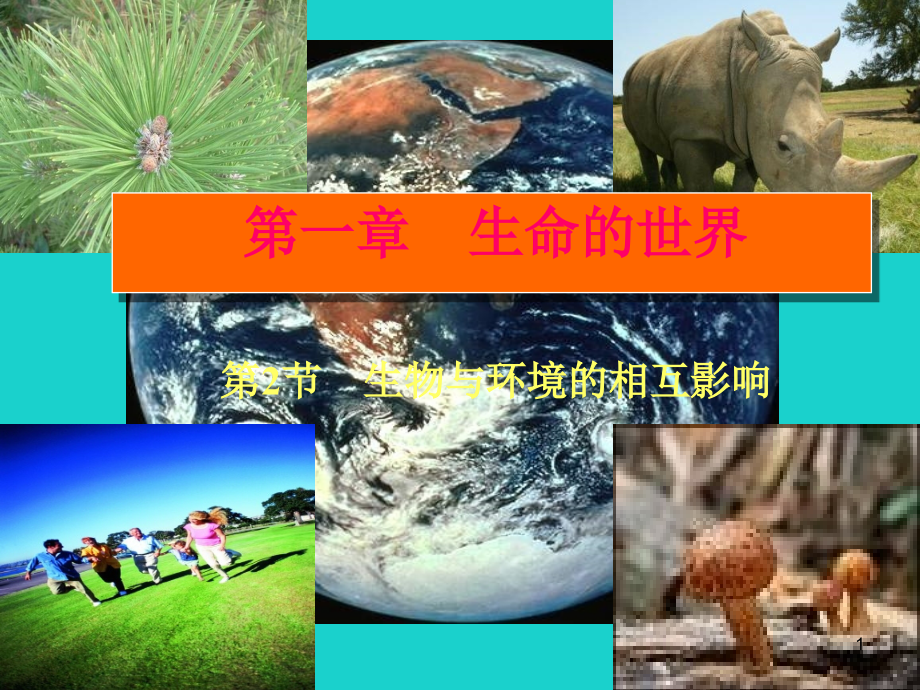 七年级生物上册第一章第二节生物与环境的相互影响课课件_第1页