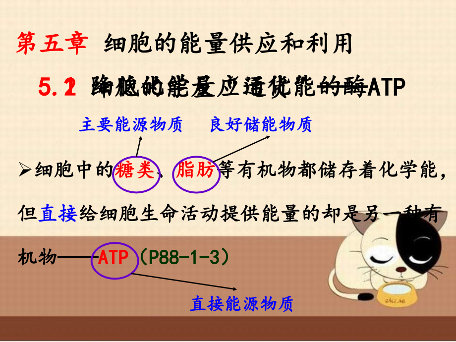 细胞的能量供应和利用-细胞的能量“通货”——ATP_第1页