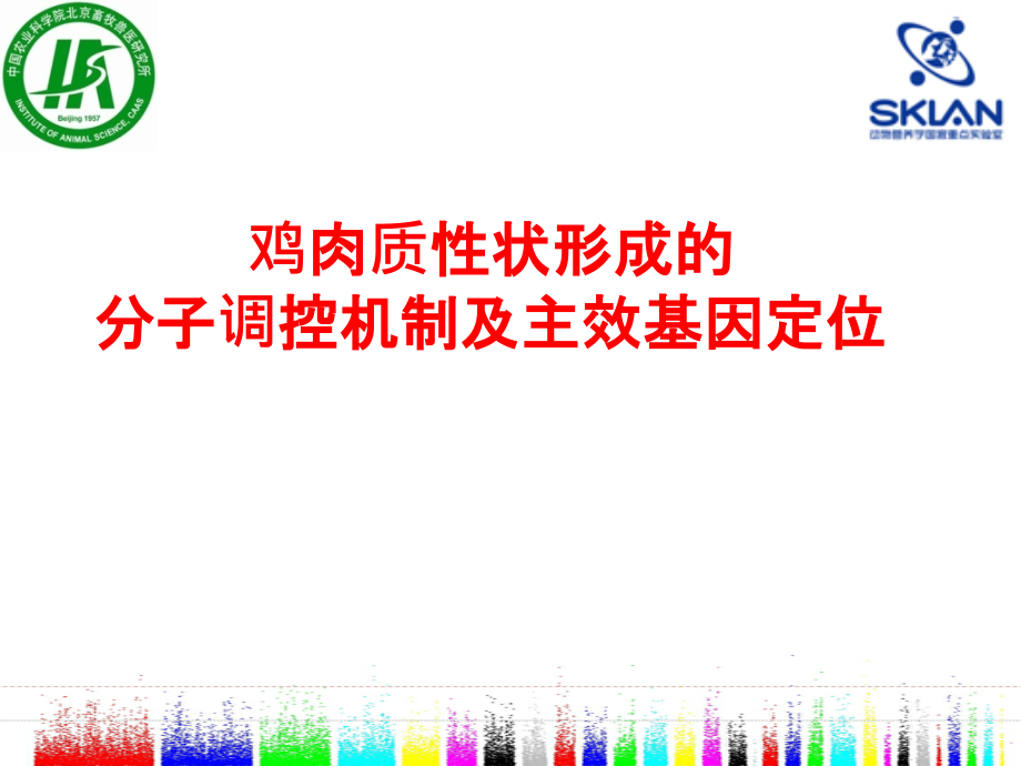 鸡肉质性状形成的分子调控机制及主效基因定位课件_第1页