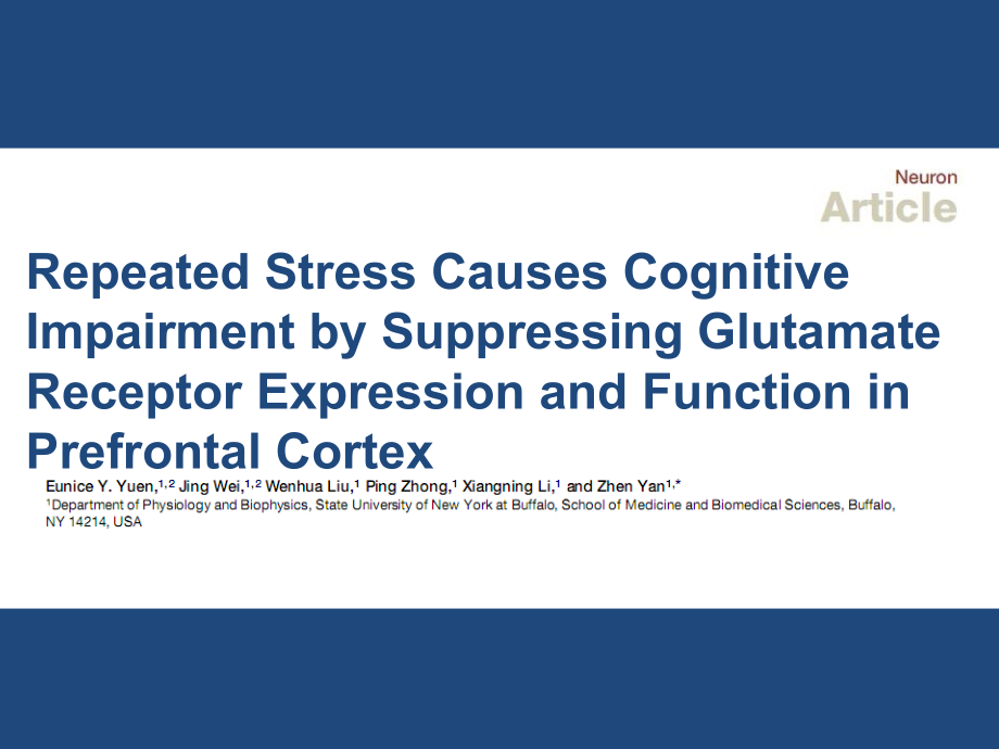 反复应激引起前额叶皮层上谷氨酸受体的表达课件_第1页