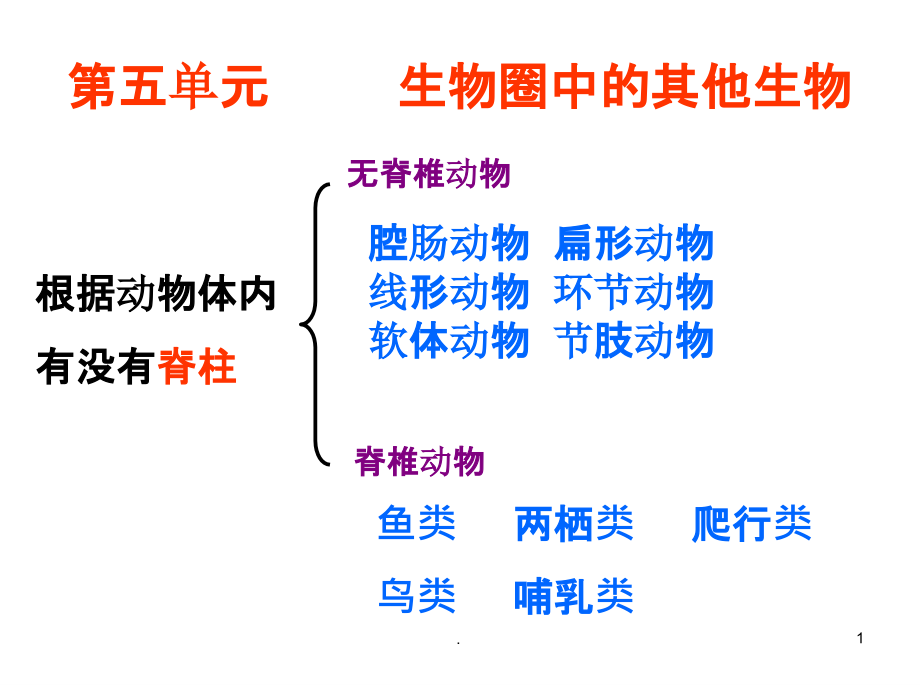 八年级生物：八年级生物上册总复习完整-3课件_第1页