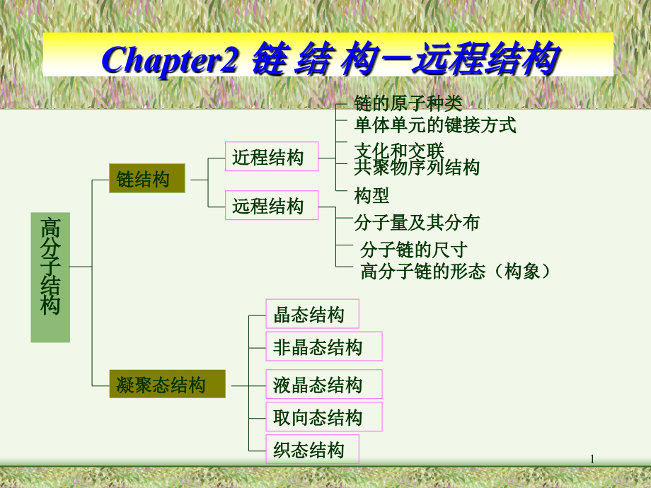 高分子物理-远程结构课件_第1页