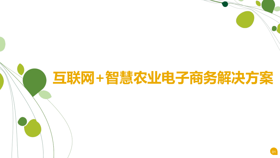 互联网+智慧农业电子商务解决方案_第1页