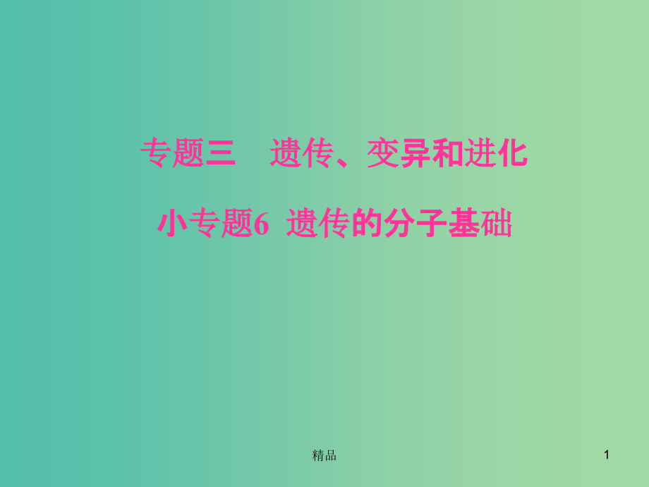 高考生物二轮专题复习专题三遗传变异和进化小专题6遗传的分子基次件-课件_第1页