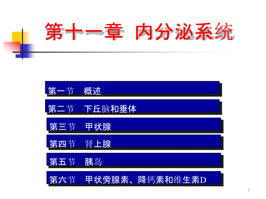 内分泌教学讲解课件-2_第1页