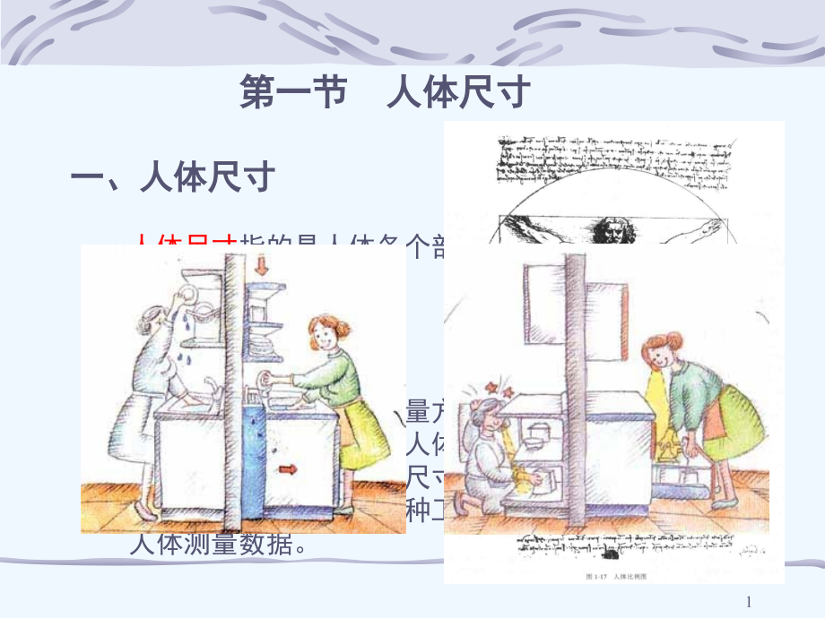 人体尺寸课件_第1页