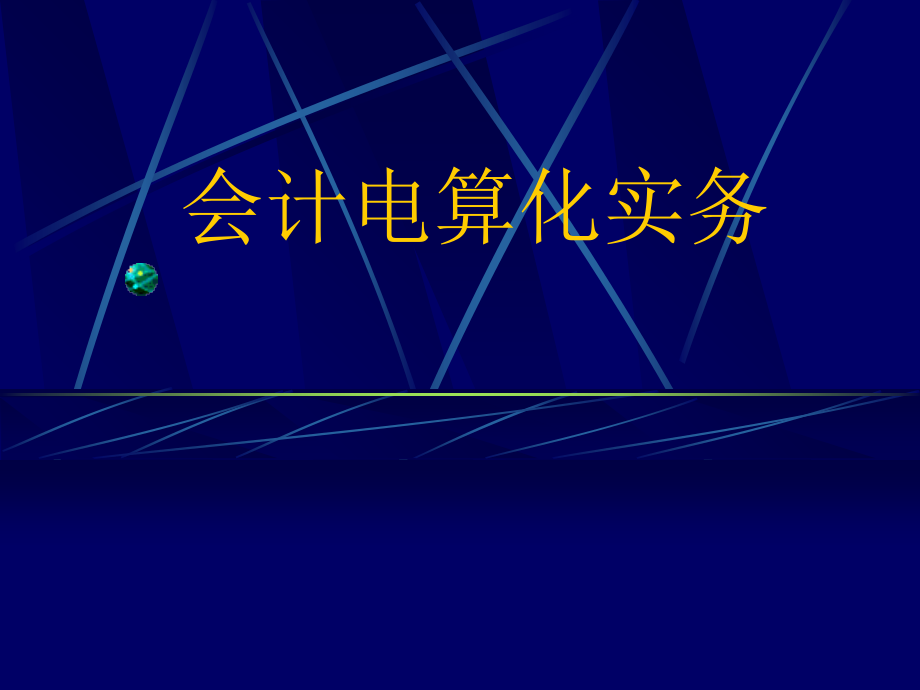 司法考试会计电算化实务_第1页