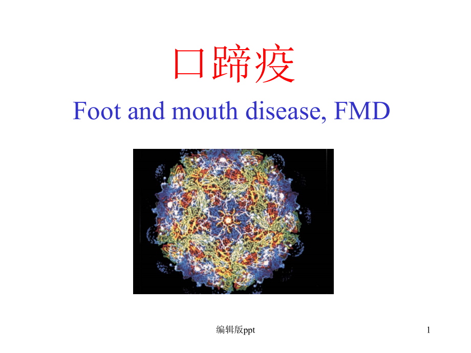 口蹄疫病毒课件_第1页