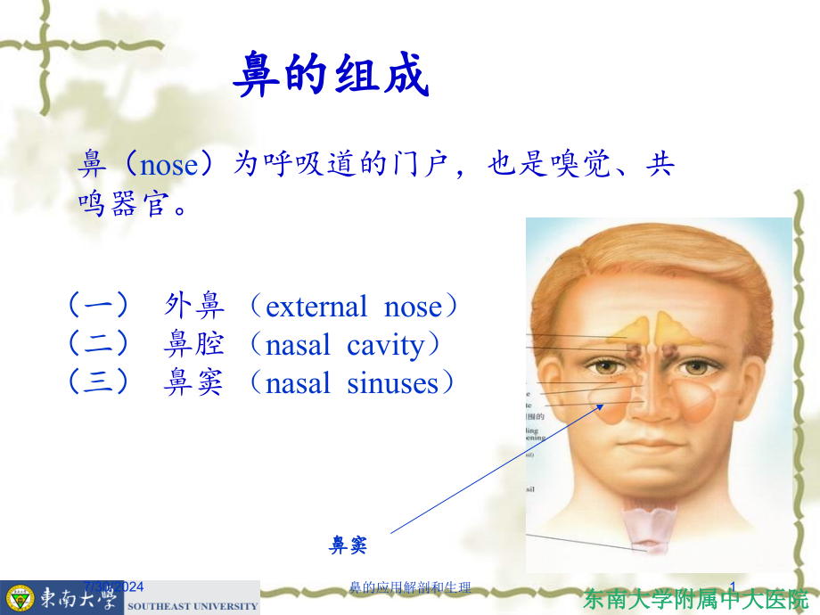 鼻的应用解剖和生理培训课件_第1页