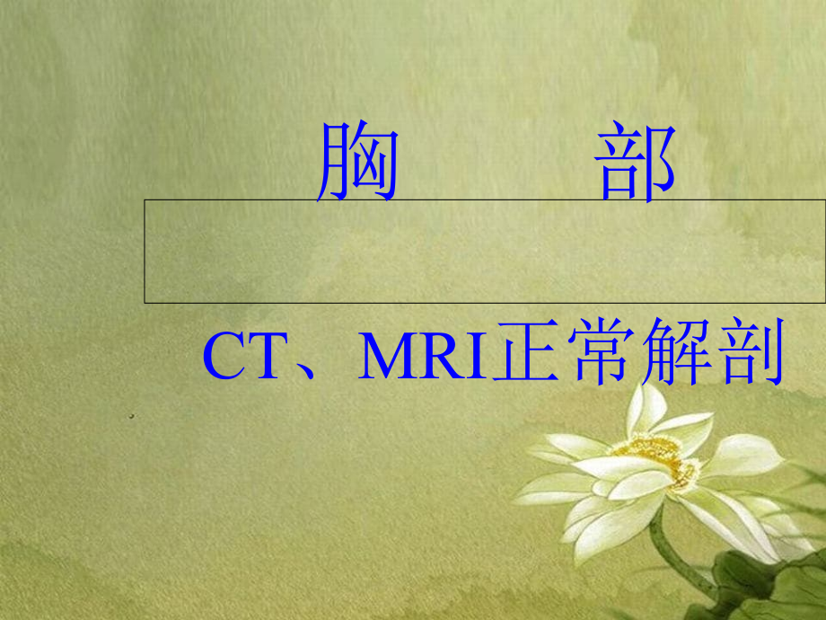 胸部正常CT-MRI原版解剖_第1页