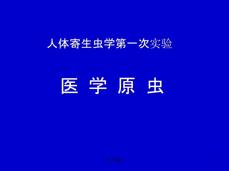 人体寄生虫学实验医学原虫实验课件_第1页