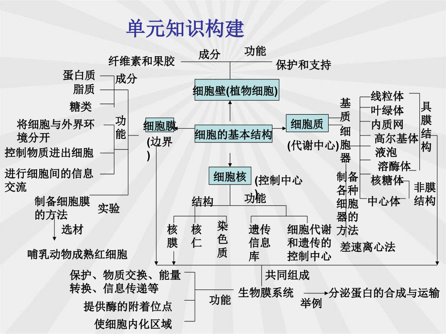 细胞的结构基础_第1页