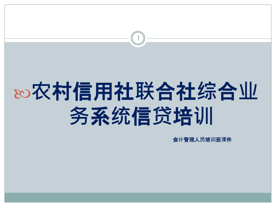 信用社综合业务系统信贷培训：会计管理人员培训班课件_第1页