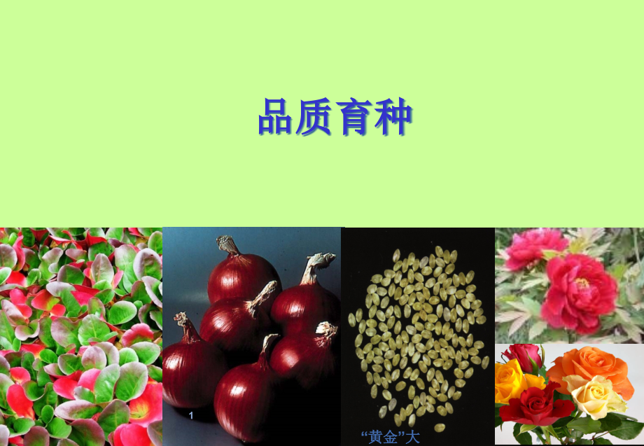 农业资料-品质育种课件_第1页