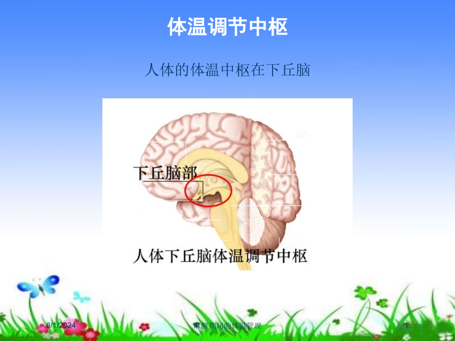 麻醉期间的体温管理培训课件_第1页