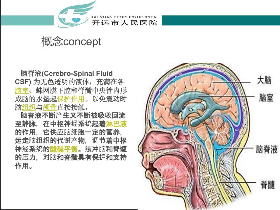 医学课件脑脊液漏护理查房_第1页