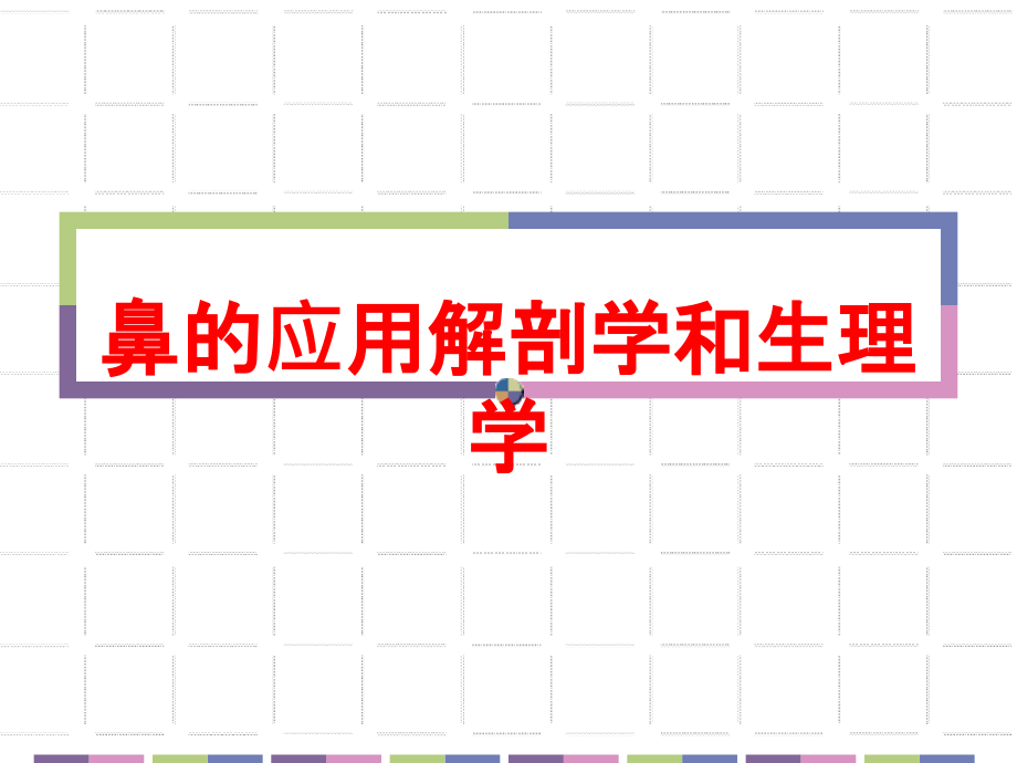 鼻的应用解剖学和生理学培训课件_第1页