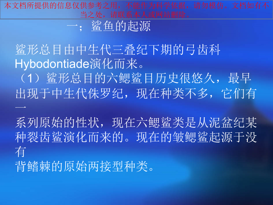 鲨鱼专题知识专业知识讲座课件_第1页