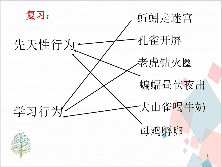 人教版初中生物《社会行为》_教学课件_第1页