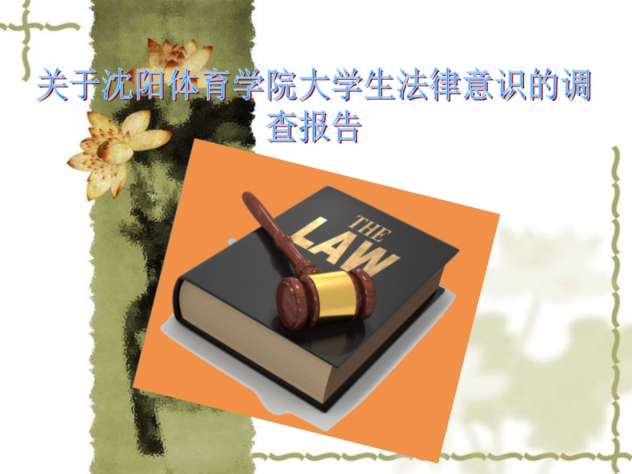 大学生法律意识调查报告_第1页