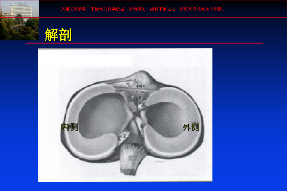 高级膝关节影像学培训课件_第1页