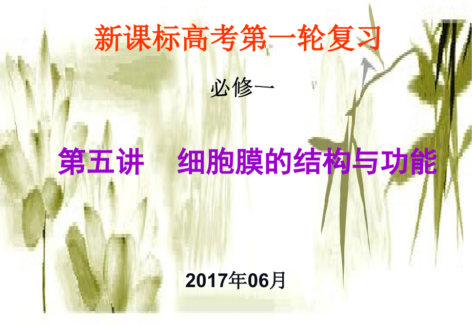 细胞膜一轮复习-细胞膜的结构与功能-M_第1页