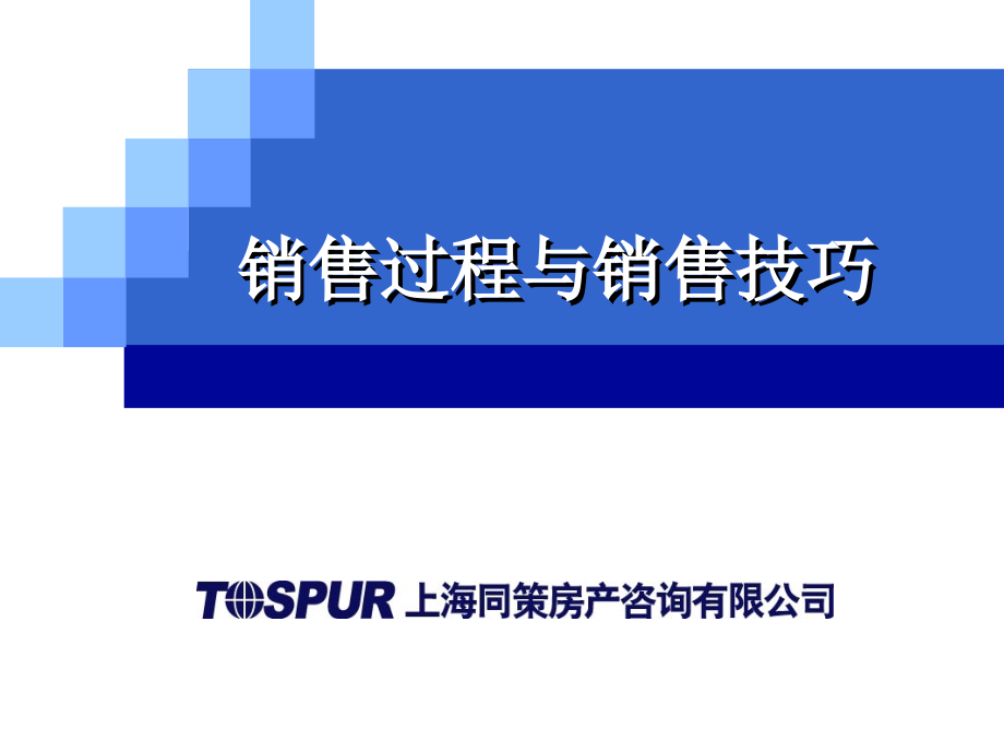 同策房地产咨询销售过程与销售技巧2314471485_第1页