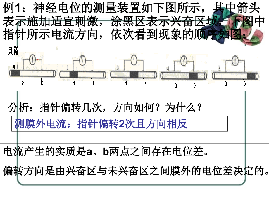 神经调节膜电位变化及其测量考题例析_第1页