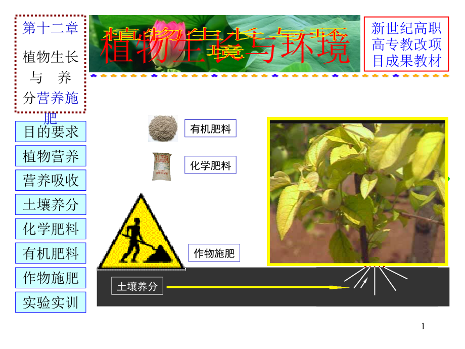 《植物生长与环境》教学课件(土壤养分)_第1页