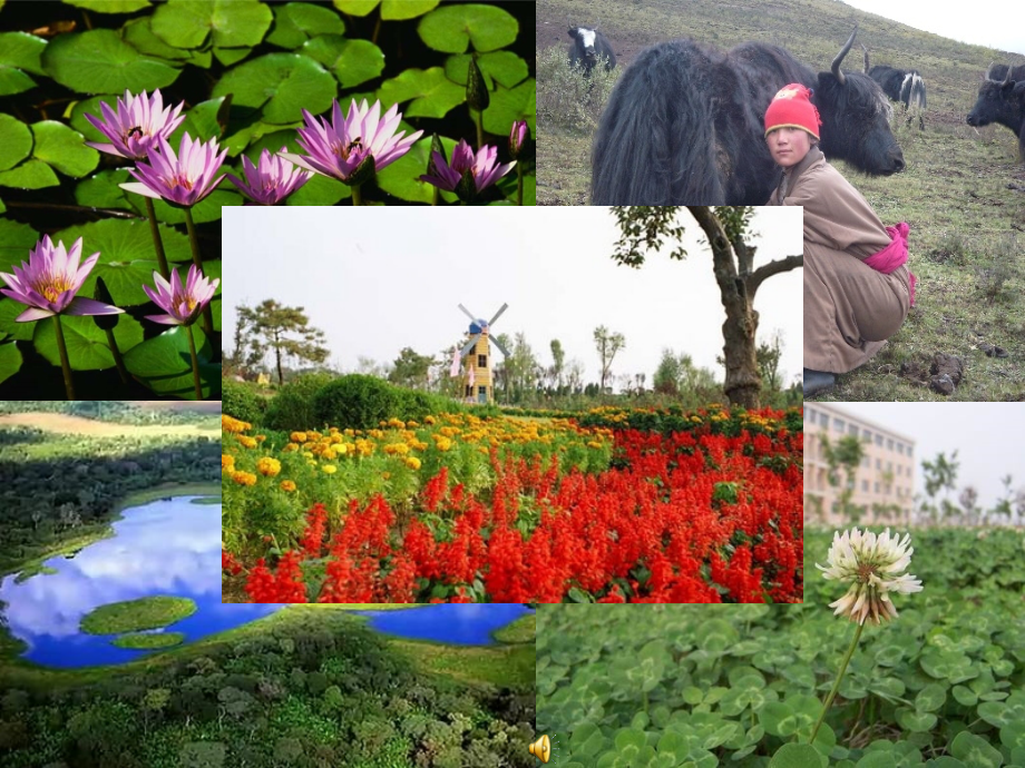 济南版绿色植物在生物圈中的作用课件_第1页