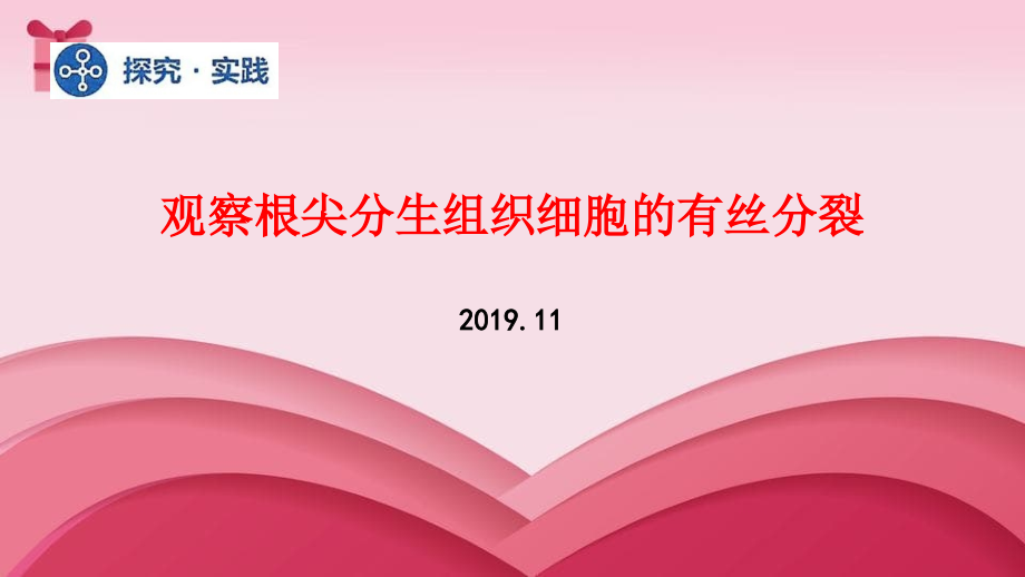 探究实践-观察根尖分生组织细胞的有丝分裂人教版必修1_第1页