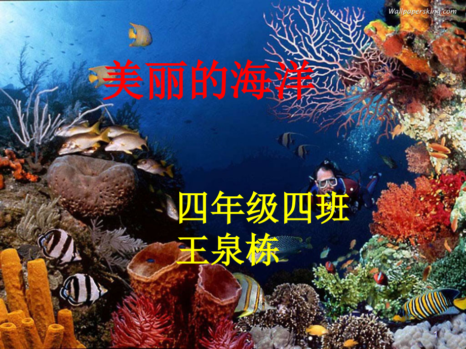 我喜欢的海洋动物课件_第1页