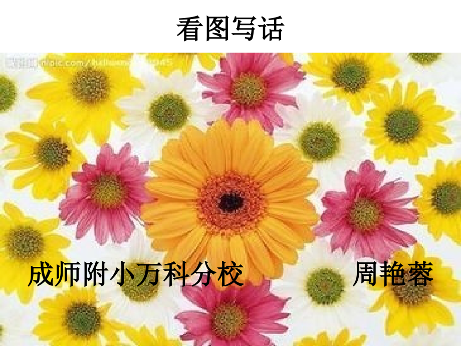 绘本故事ppt-彩虹色的花课件_第1页