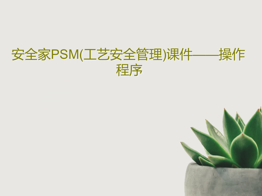 安全家PSM（工艺安全管理）ppt课件操作程序_第1页