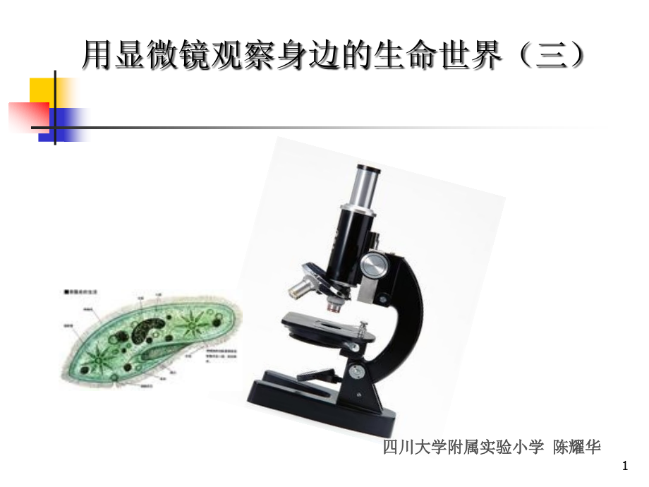 《用显微镜观察身边的生命世界(三)》课件_第1页