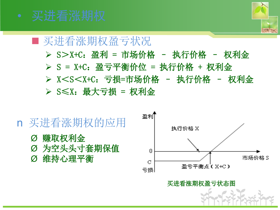 期权投资策略课件_第1页