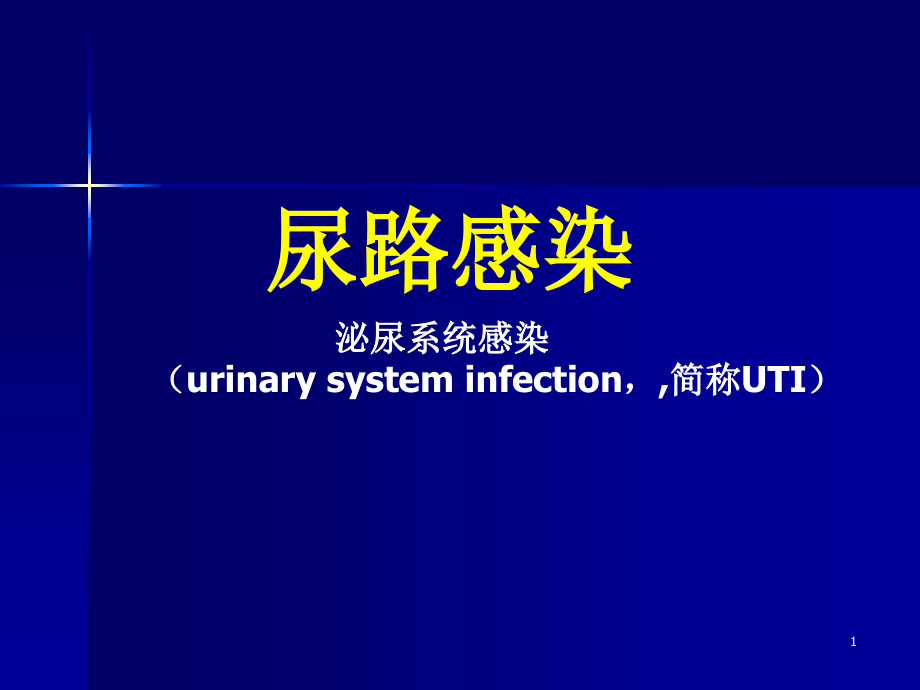 尿路感染的诊断与治疗课件_第1页