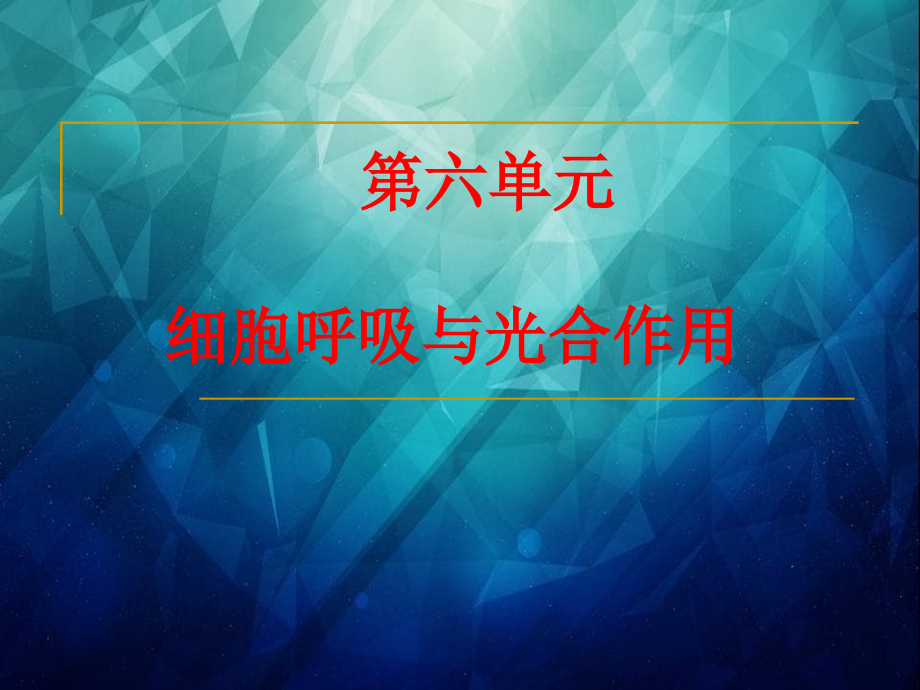 学考复习细胞呼吸与光合作用_第1页