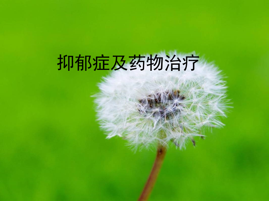 抗抑郁药的合理选择_第1页