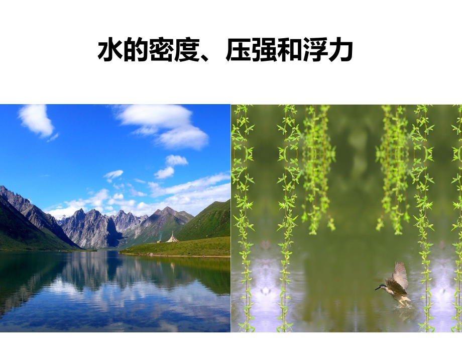 水的密度、压强和浮力课件_第1页