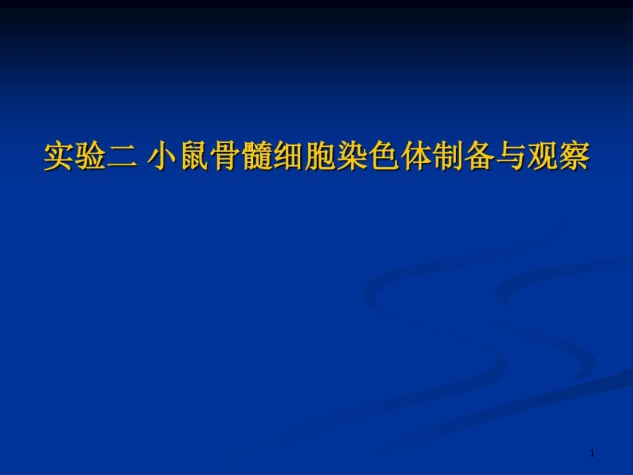 小鼠骨髓细胞染色体制备与观察课件_第1页