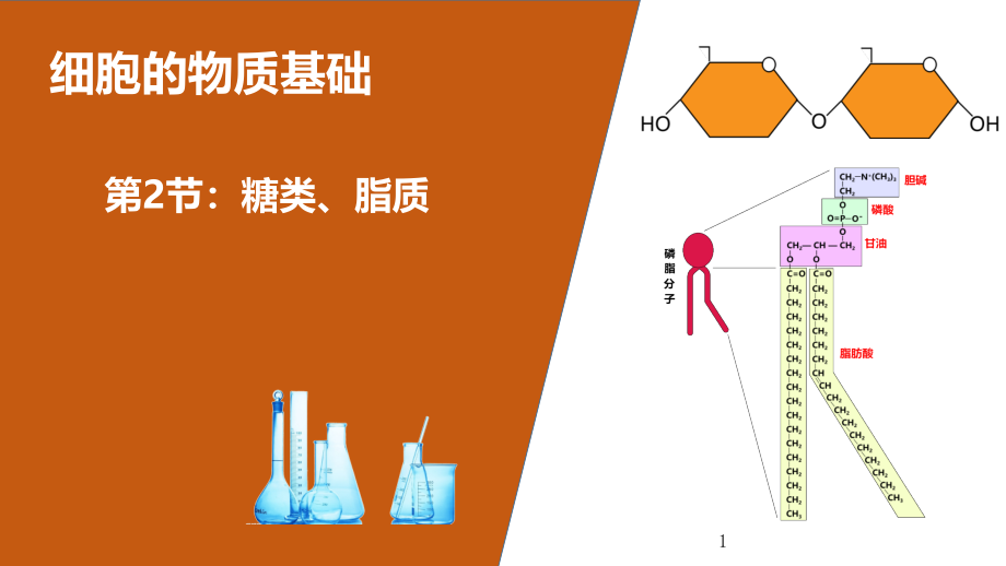 专题02-糖类、脂质-2021年高考生物一轮复习知识精讲ppt课件_第1页