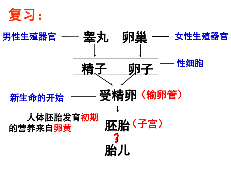 浙教版-七年级科学下册-第一章-代代相传的生命-复习ppt课件_第1页