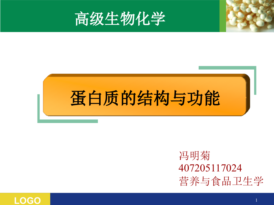 蛋白质结构与功能课件_第1页