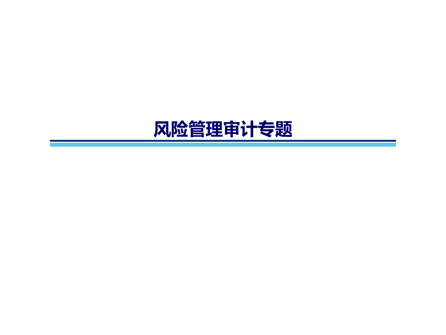 风险管理审计专题课件_第1页